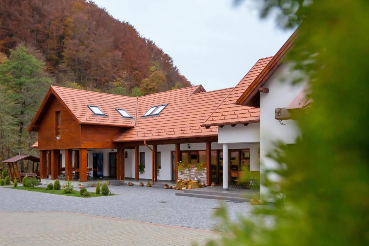 Patakmenti Panzio Spa Corund  Εξωτερικό φωτογραφία