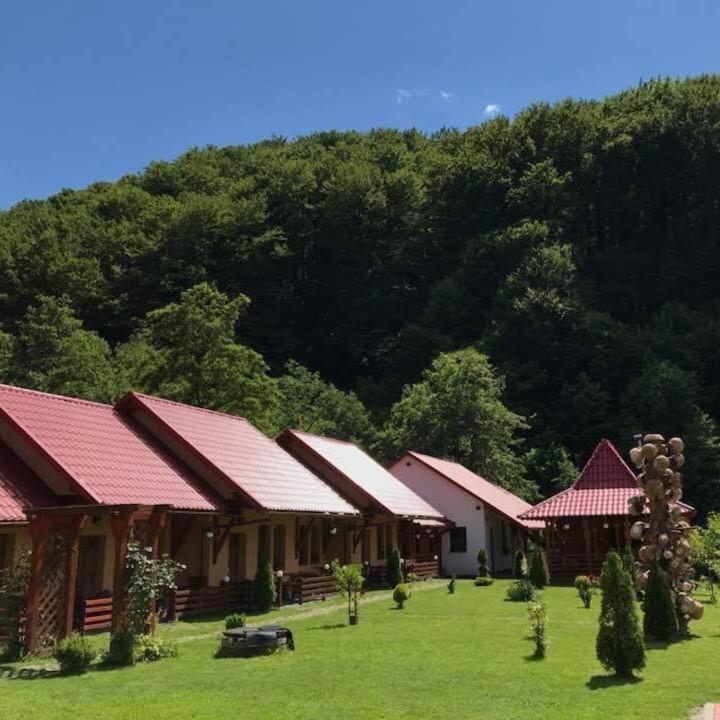 Patakmenti Panzio Spa Corund  Εξωτερικό φωτογραφία