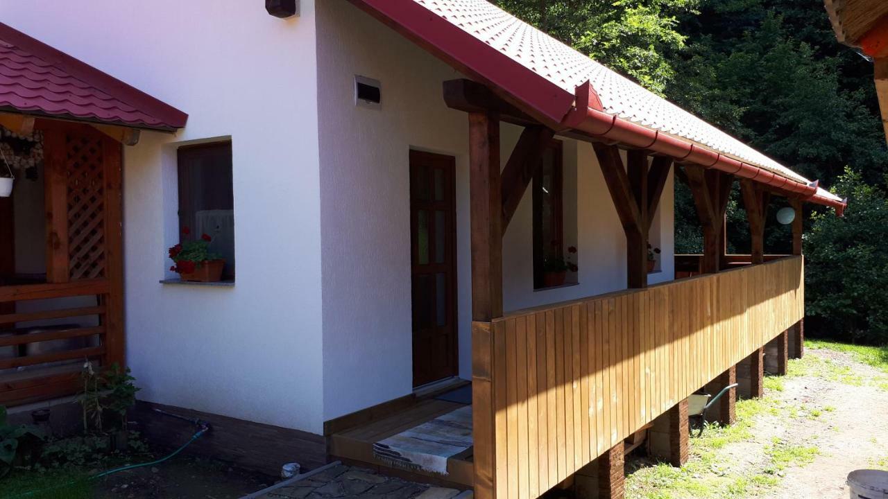 Patakmenti Panzio Spa Corund  Εξωτερικό φωτογραφία